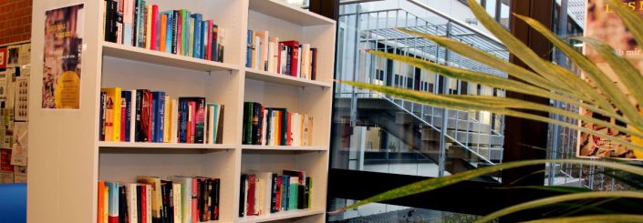 Bücherregal